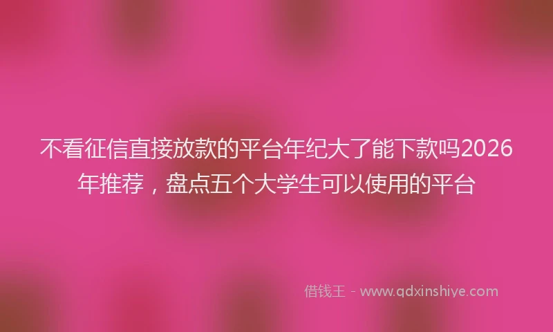 不看征信直接放款的平台年纪大了能下款吗2026年推荐，盘点五个大学生可以使用的平台