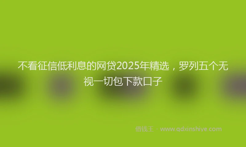 不看征信低利息的网贷2025年精选，罗列五个无视一切包下款口子