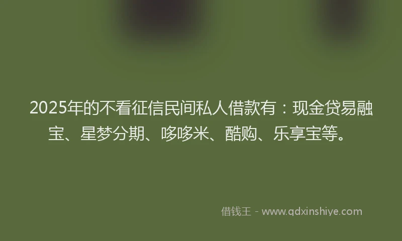 2025年的不看征信民间私人借款有：现金贷易融宝、星梦分期、哆哆米、酷购、乐享宝等。