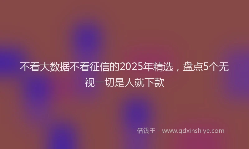 不看大数据不看征信的2025年精选，盘点5个无视一切是人就下款