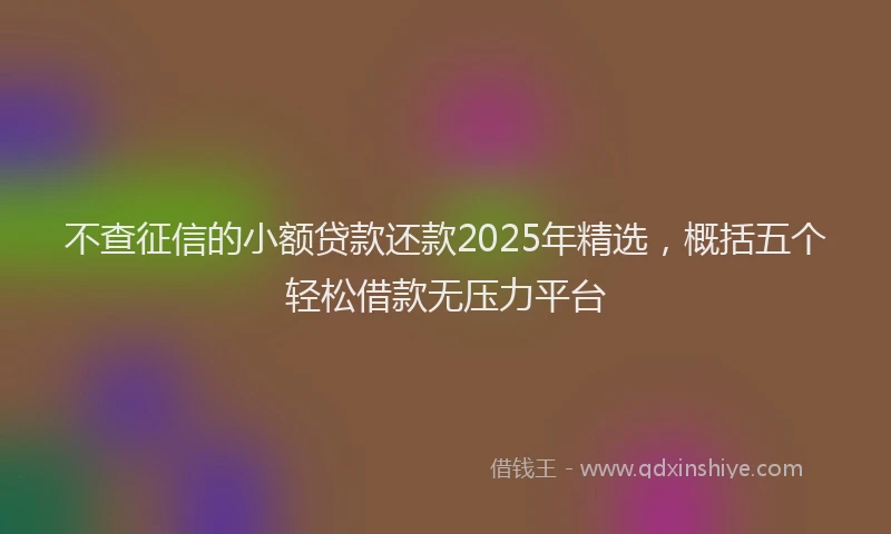 不查征信的小额贷款还款2025年精选，概括五个轻松借款无压力平台