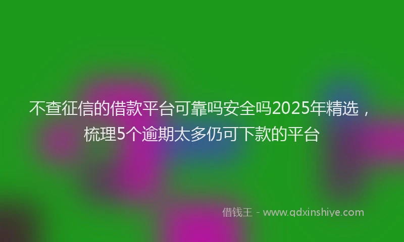 不查征信的借款平台可靠吗安全吗2025年精选，梳理5个逾期太多仍可下款的平台