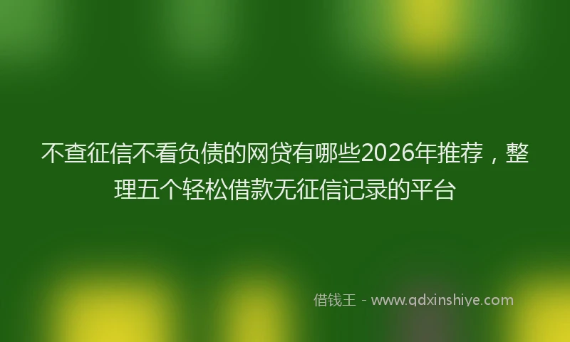 不查征信不看负债的网贷有哪些2026年推荐，整理五个轻松借款无征信记录的平台