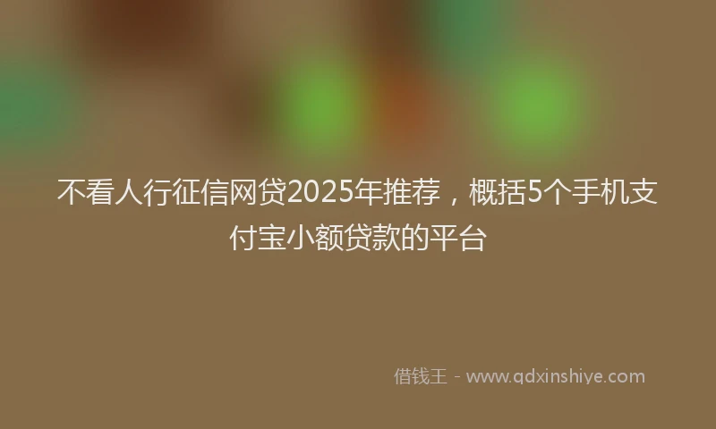 不看人行征信网贷2025年推荐，概括5个手机支付宝小额贷款的平台