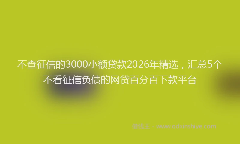 不查征信的3000小额贷款2026年精选,汇总5个不看征信负债的网贷百分百下款平台