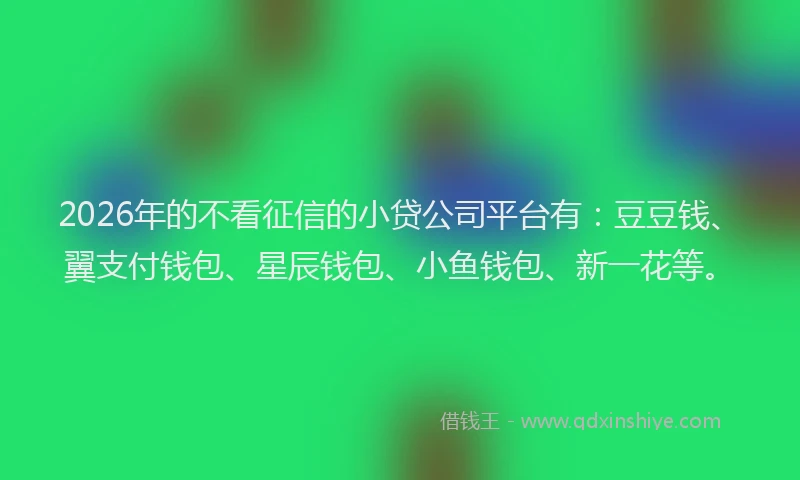 2026年的不看征信的小贷公司平台有：豆豆钱、翼支付钱包、星辰钱包、小鱼钱包、新一花等。