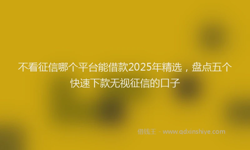 不看征信哪个平台能借款2025年精选，盘点五个快速下款无视征信的口子