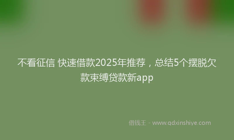 不看征信 快速借款2025年推荐，总结5个摆脱欠款束缚贷款新app
