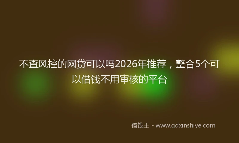 不查风控的网贷可以吗2026年推荐,整合5个可以借钱不用审核的平台