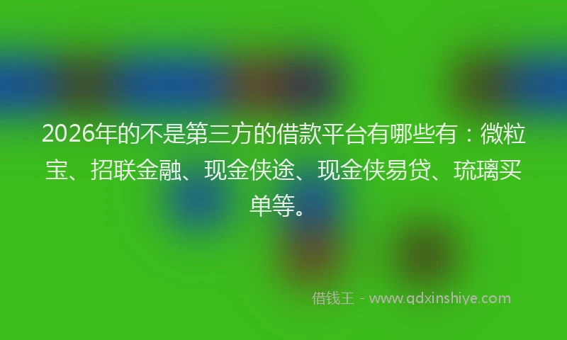 2026年的不是第三方的借款平台有哪些有：微粒宝、招联金融、现金侠途、现金侠易贷、琉璃买单等。