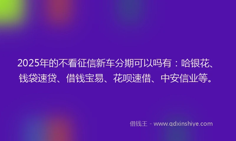 2025年的不看征信新车分期可以吗有:哈银花、钱袋速贷、借钱宝易、花呗速借、中安信业等。