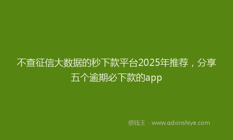 不查征信大数据的秒下款平台2025年推荐,分享五个逾期必下款的app