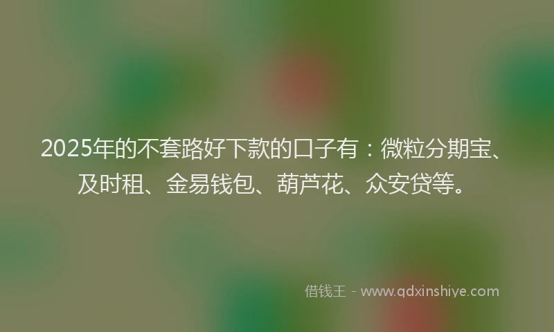 2025年的不套路好下款的口子有：微粒分期宝、及时租、金易钱包、葫芦花、众安贷等。