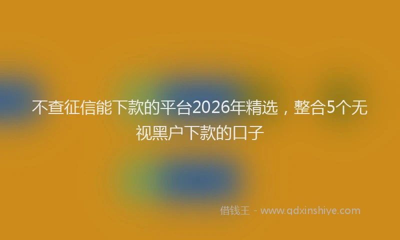不查征信能下款的平台2026年精选，整合5个无视黑户下款的口子