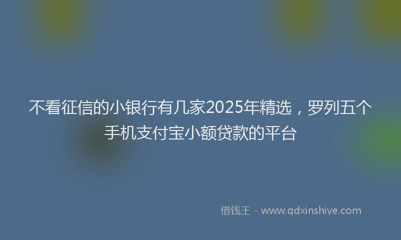 不看征信的小银行有几家2025年精选，罗列五个手机支付宝小额贷款的平台
