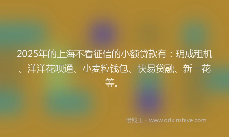 2025年的上海不看征信的小额贷款有：玥成租机、洋洋花呗通、小麦粒钱包、快易贷融、新一花等。