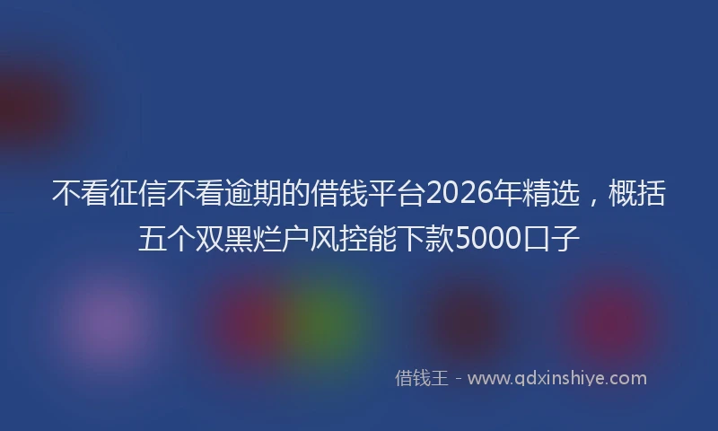 不看征信不看逾期的借钱平台2026年精选,概括五个双黑烂户风控能下款5000口子