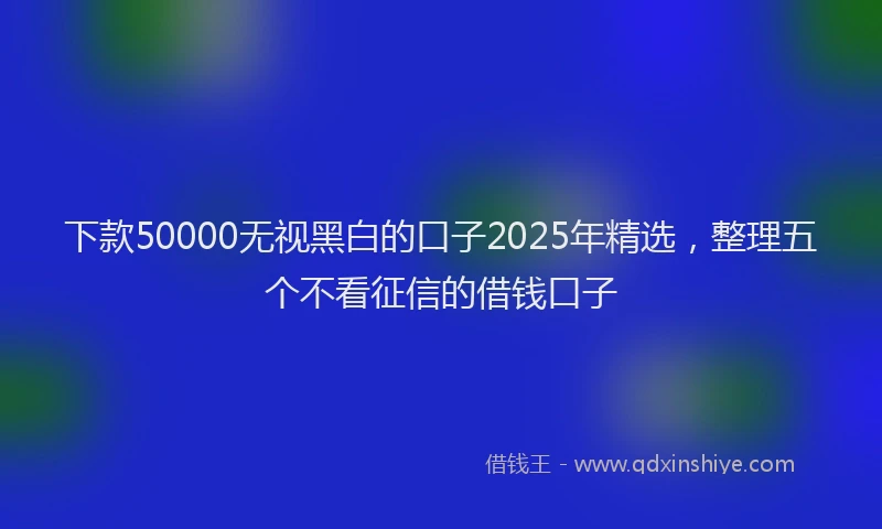 下款50000无视黑白的口子2025年精选，整理五个不看征信的借钱口子