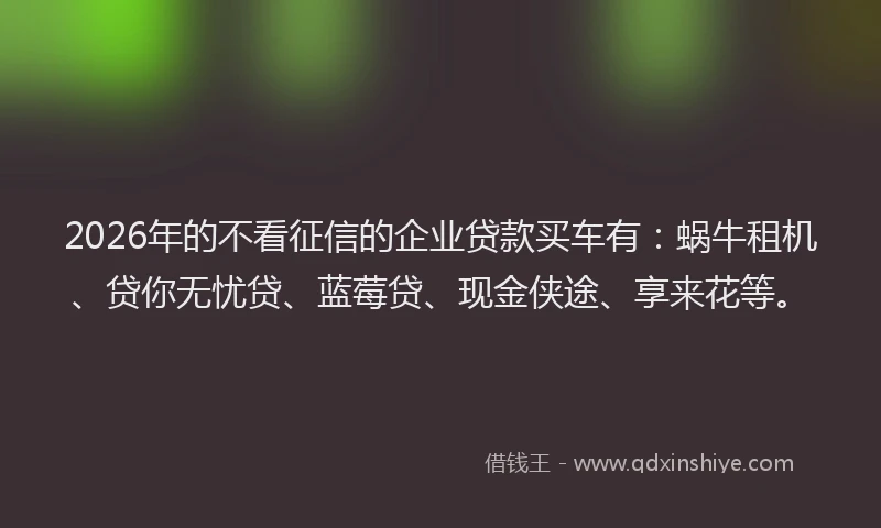 2026年的不看征信的企业贷款买车有：蜗牛租机、贷你无忧贷、蓝莓贷、现金侠途、享来花等。
