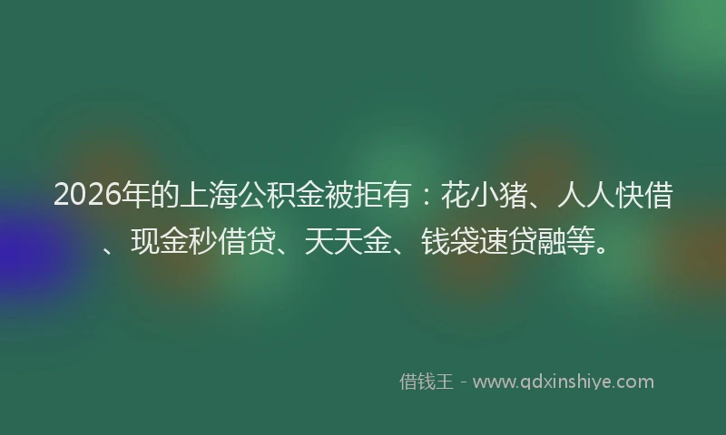 2026年的上海公积金被拒有：花小猪、人人快借、现金秒借贷、天天金、钱袋速贷融等。
