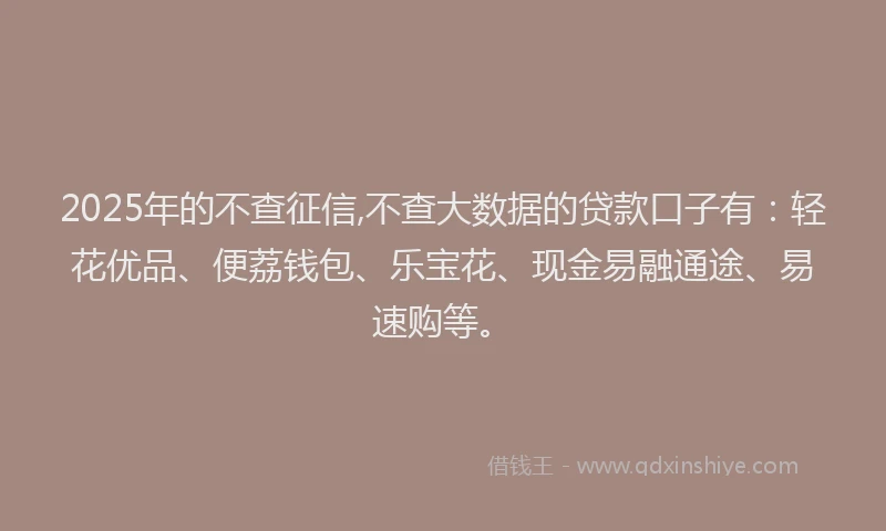 2025年的不查征信,不查大数据的贷款口子有：轻花优品、便荔钱包、乐宝花、现金易融通途、易速购等。