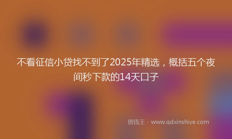不看征信小贷找不到了2025年精选,概括五个夜间秒下款的14天口子
