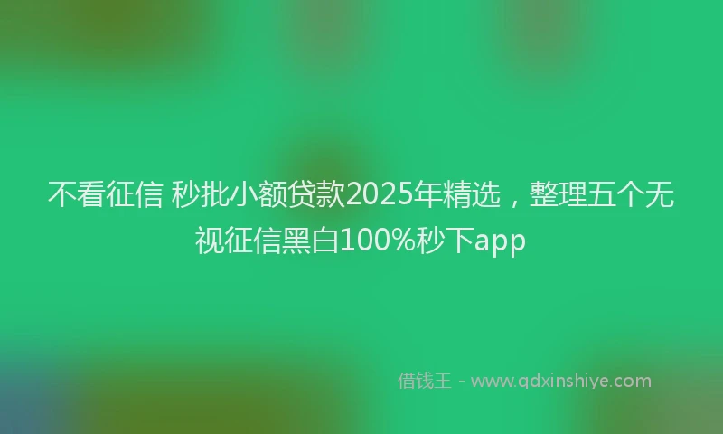 不看征信 秒批小额贷款2025年精选，整理五个无视征信黑白100%秒下app