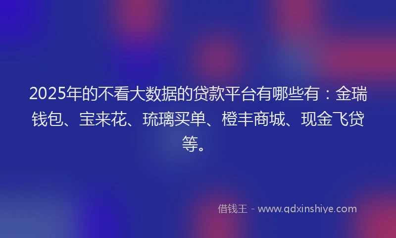 2025年的不看大数据的贷款平台有哪些有：金瑞钱包、宝来花、琉璃买单、橙丰商城、现金飞贷等。