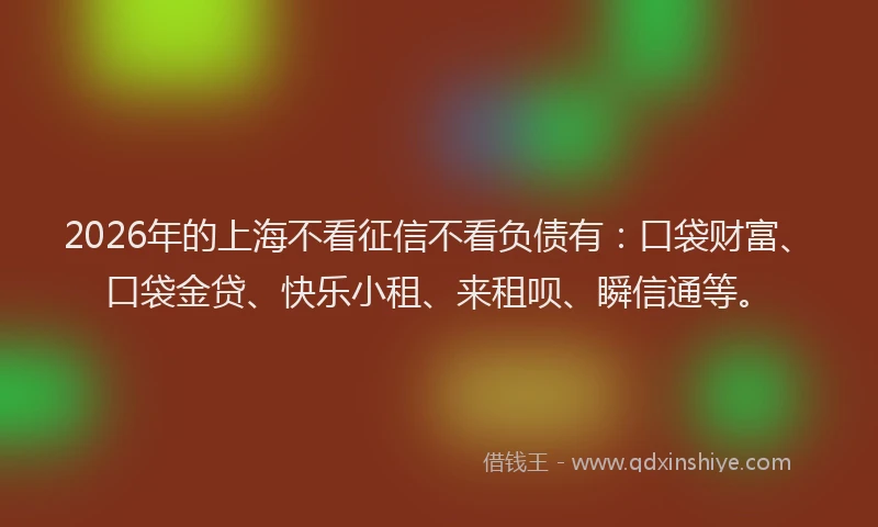 2026年的上海不看征信不看负债有：口袋财富、口袋金贷、快乐小租、来租呗、瞬信通等。