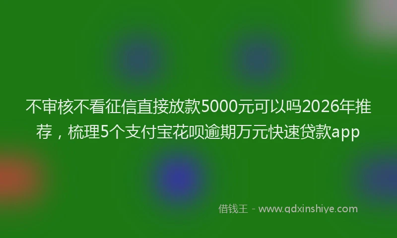 不审核不看征信直接放款5000元可以吗2026年推荐，梳理5个支付宝花呗逾期万元快速贷款app