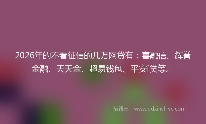 2026年的不看征信的几万网贷有:喜融信、辉誉金融、天天金、超易钱包、平安i贷等。