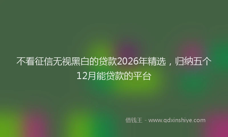 不看征信无视黑白的贷款2026年精选，归纳五个12月能贷款的平台