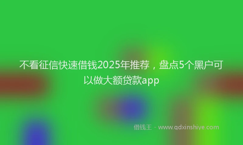 不看征信快速借钱2025年推荐，盘点5个黑户可以做大额贷款app