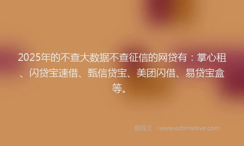 2025年的不查大数据不查征信的网贷有：掌心租、闪贷宝速借、甄信贷宝、美团闪借、易贷宝盒等。