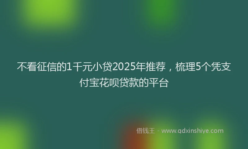 不看征信的1千元小贷2025年推荐，梳理5个凭支付宝花呗贷款的平台