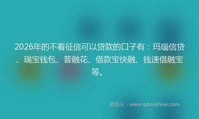 2026年的不看征信可以贷款的口子有：玛瑙信贷、瑞宝钱包、普融花、借款宝快融、钱速借融宝等。