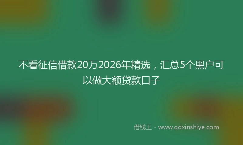 不看征信借款20万2026年精选，汇总5个黑户可以做大额贷款口子