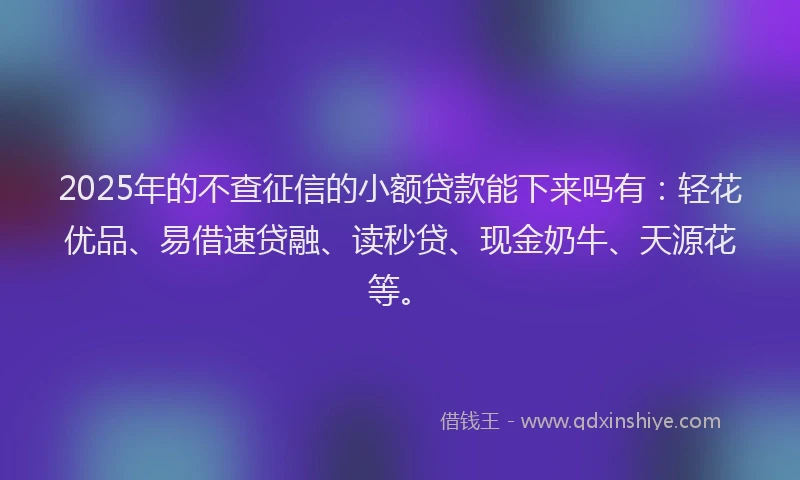 2025年的不查征信的小额贷款能下来吗有：轻花优品、易借速贷融、读秒贷、现金奶牛、天源花等。