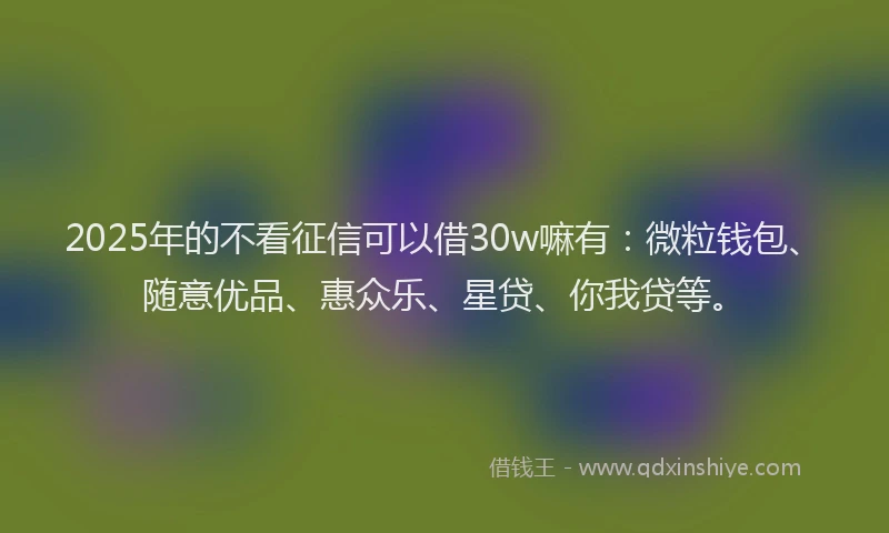 2025年的不看征信可以借30w嘛有:微粒钱包、随意优品、惠众乐、星贷、你我贷等。