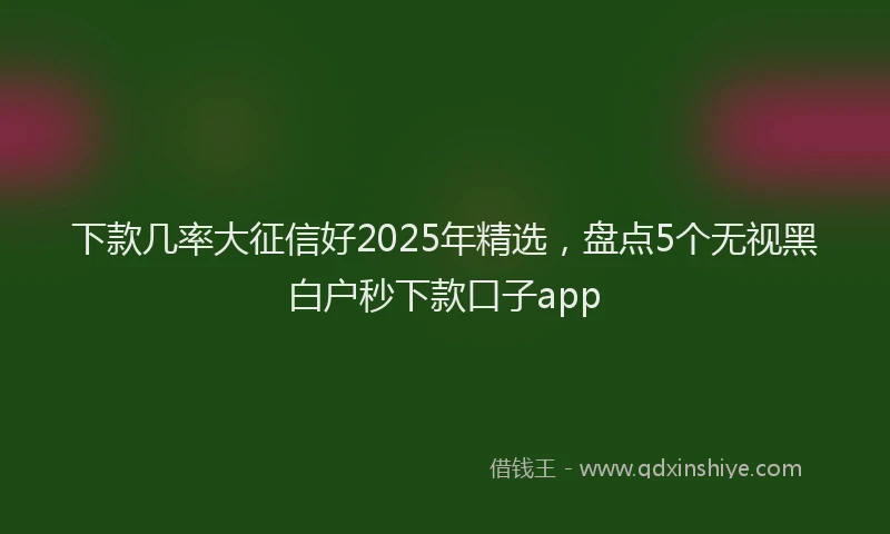 下款几率大征信好2025年精选，盘点5个无视黑白户秒下款口子app