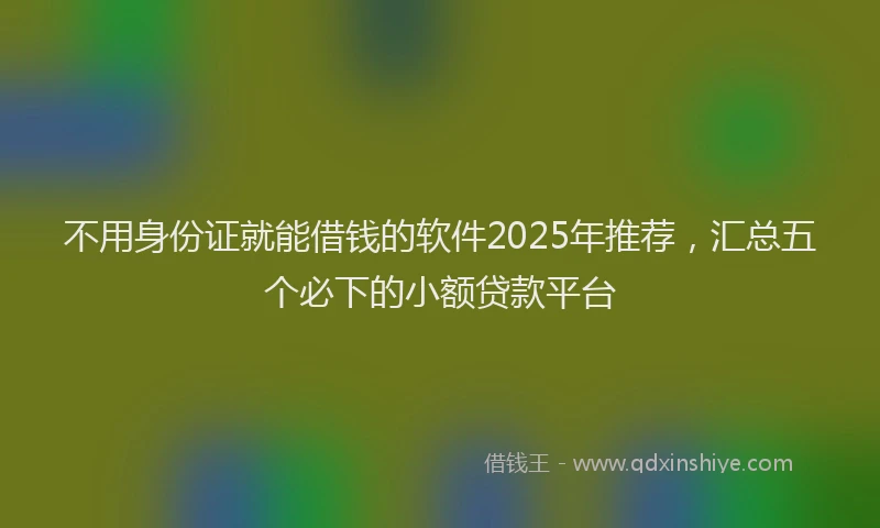 不用身份证就能借钱的软件2025年推荐,汇总五个必下的小额贷款平台
