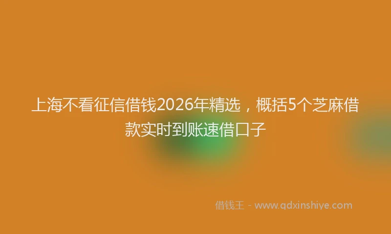 上海不看征信借钱2026年精选，概括5个芝麻借款实时到账速借口子