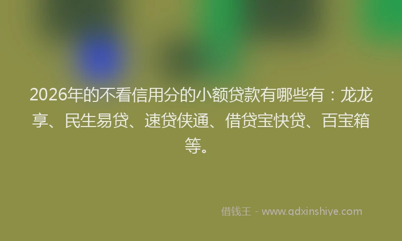 2026年的不看信用分的小额贷款有哪些有:龙龙享、民生易贷、速贷侠通、借贷宝快贷、百宝箱等。