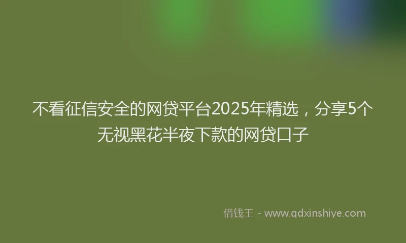 不看征信安全的网贷平台2025年精选，分享5个无视黑花半夜下款的网贷口子