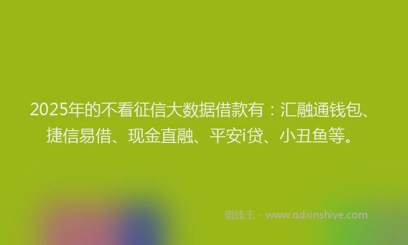 2025年的不看征信大数据借款有:汇融通钱包、捷信易借、现金直融、平安i贷、小丑鱼等。