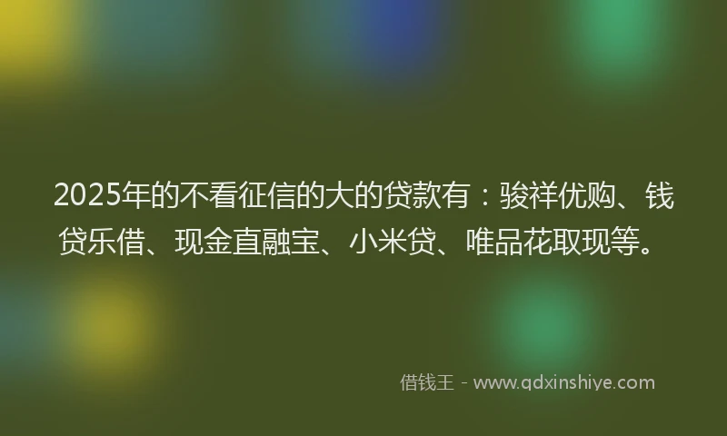 2025年的不看征信的大的贷款有：骏祥优购、钱贷乐借、现金直融宝、小米贷、唯品花取现等。