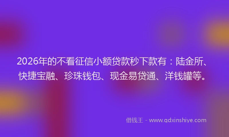 2026年的不看征信小额贷款秒下款有：陆金所、快捷宝融、珍珠钱包、现金易贷通、洋钱罐等。