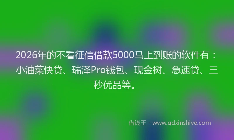 2026年的不看征信借款5000马上到账的软件有：小油菜快贷、瑞泽Pro钱包、现金树、急速贷、三秒优品等。