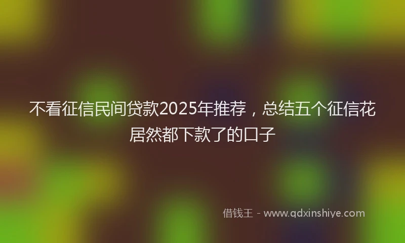 不看征信民间贷款2025年推荐，总结五个征信花居然都下款了的口子