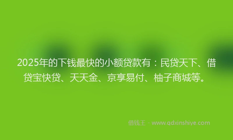 2025年的下钱最快的小额贷款有:民贷天下、借贷宝快贷、天天金、京享易付、柚子商城等。